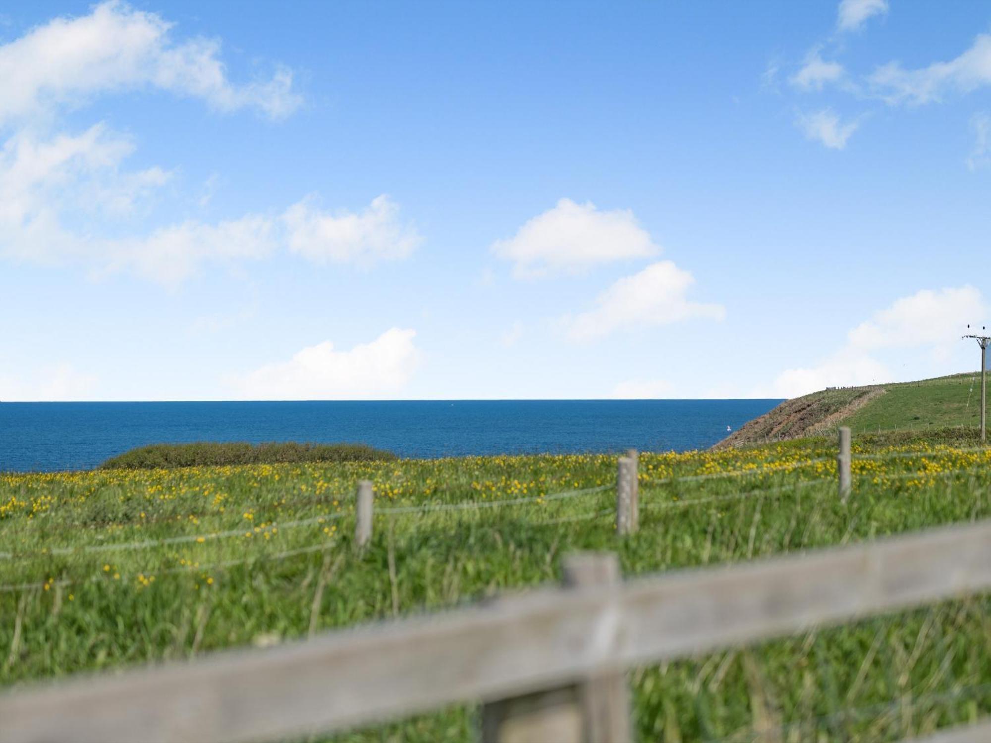 Spinnaker - 16828 Staithes Luaran gambar